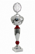 Кубок 001-250-100 КС100 ,37 см